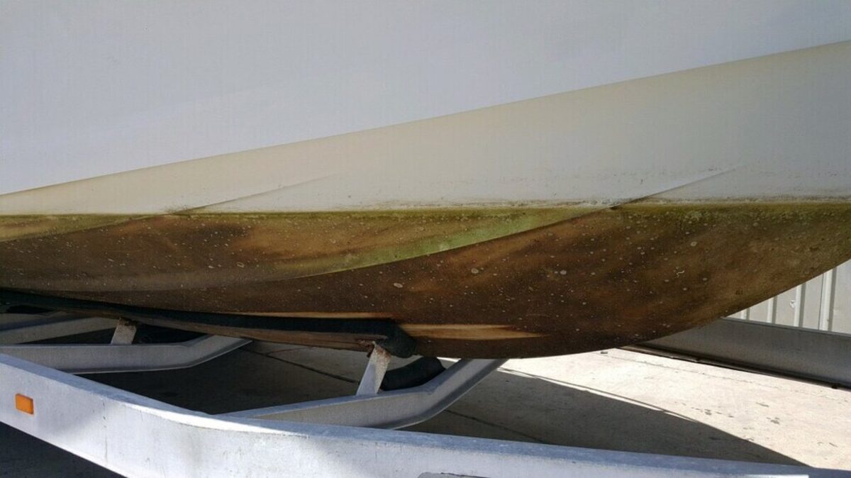 Waterline of a boat hull showing marine growth before cleaning